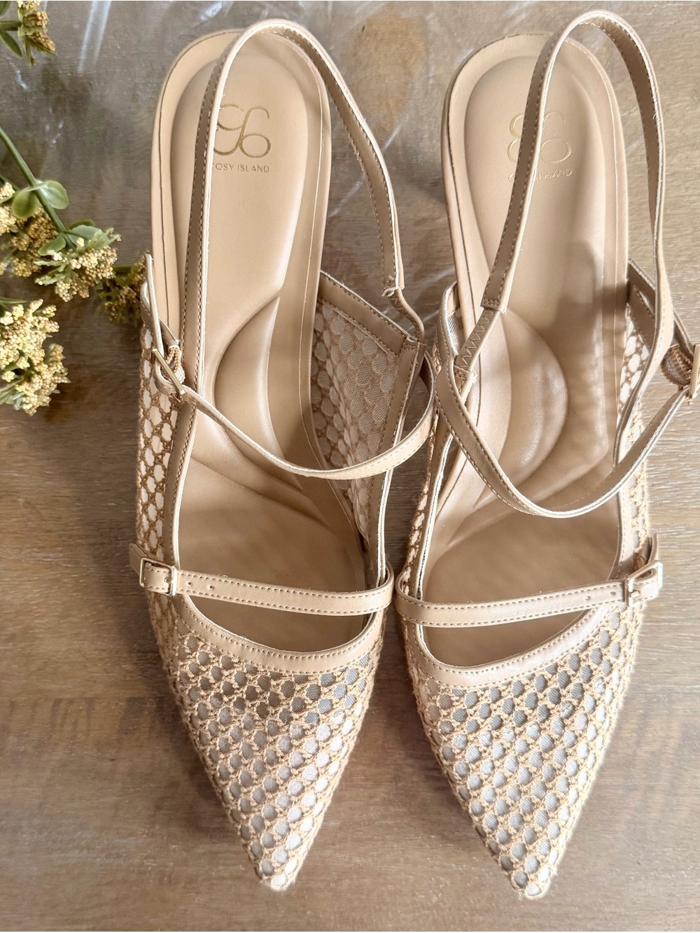 Cosy Island - Beige Mesh Slingback Pointed Heels